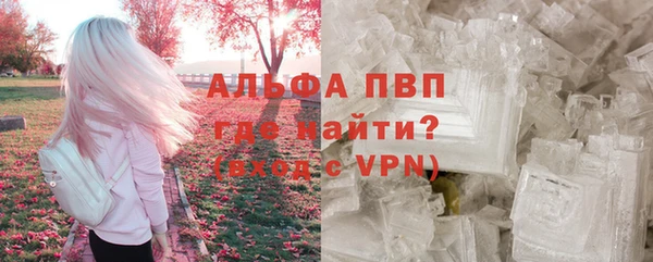 молекула духа Нефтекумск