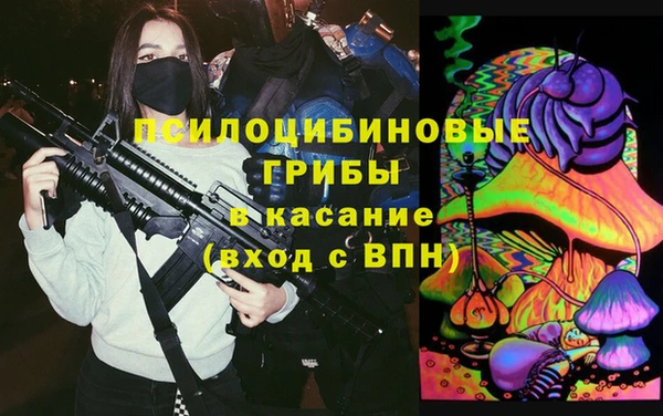 не бодяженный Новодвинск