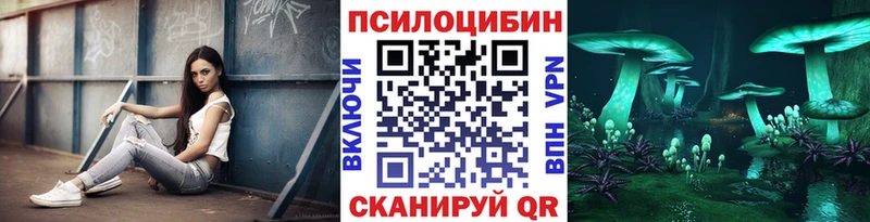 Псилоцибиновые грибы Psilocybine cubensis  Зеленогорск 