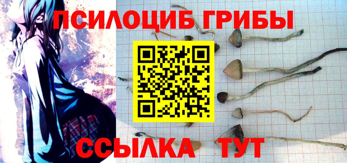 Меф мяу мяу Зеленогорск