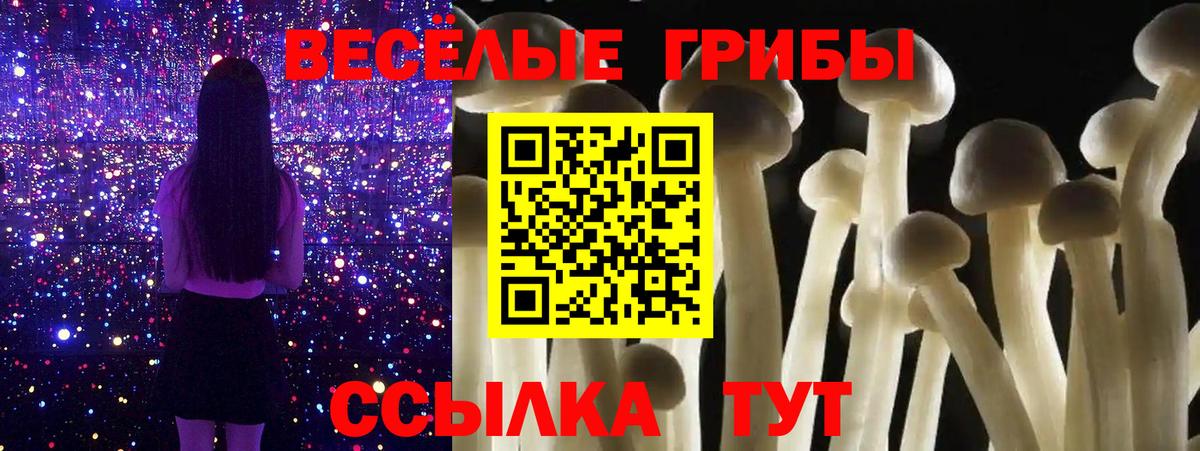 Зеленогорск  Псилоцибиновые грибы мухоморы  Вход с VPN  Псилоцибиновые грибы Cubensis 